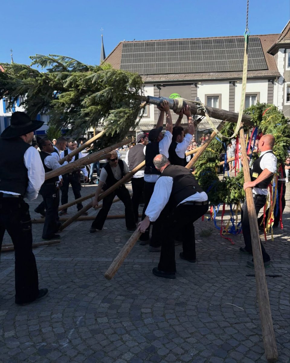 Der Handwerker-Maibaum steht